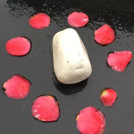 Отель Quinta La Encarnacion